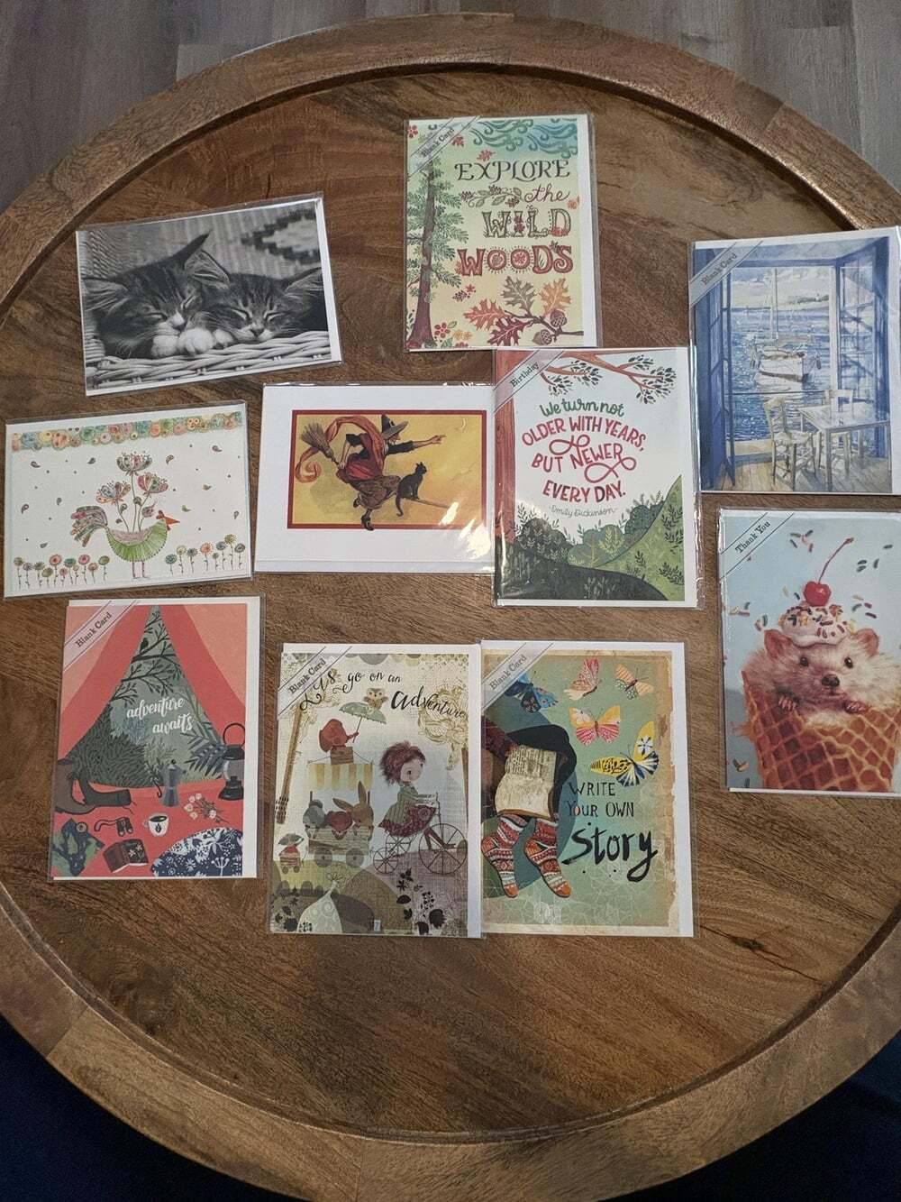 10x Assorted Greeting Cards Animal Trader Joe's Papyrus Multicolor New